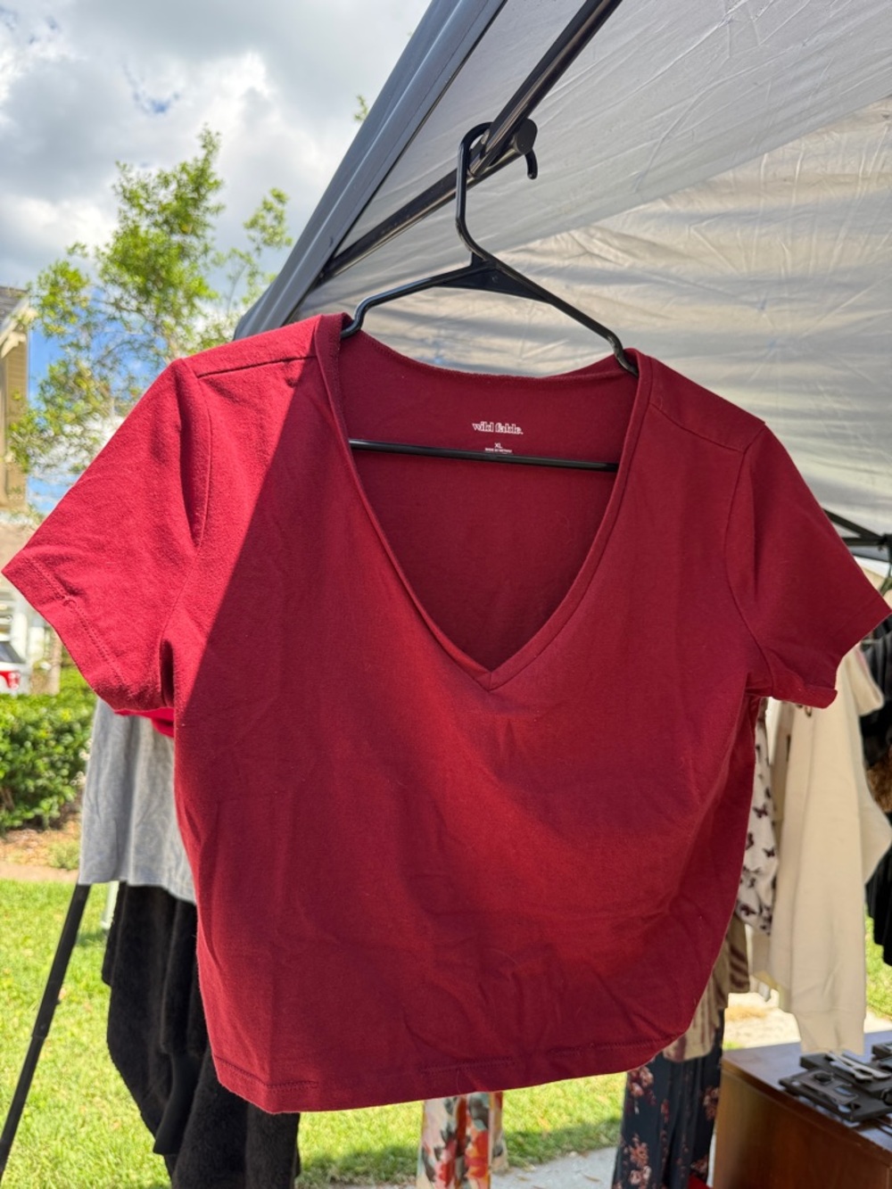 wild fable V-Neck Cropped Tee - Wine